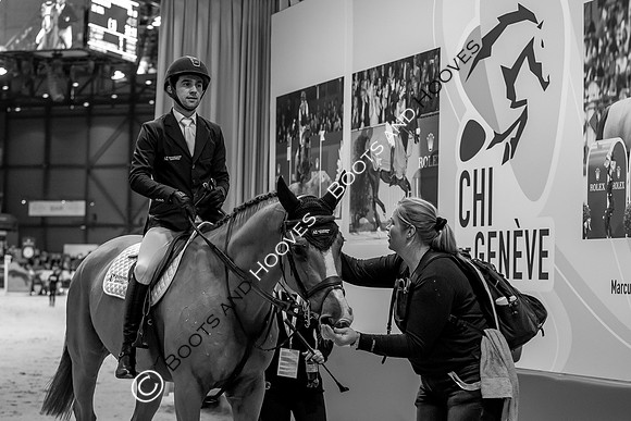 Showjumping