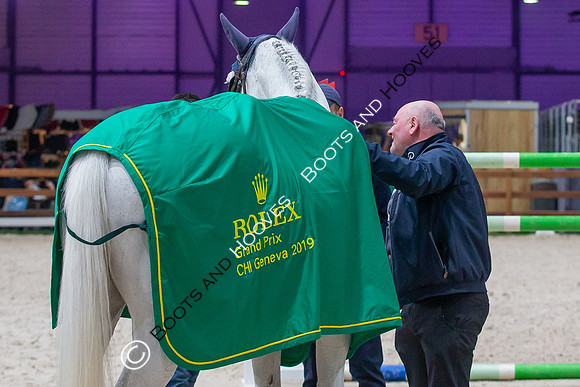 Showjumping