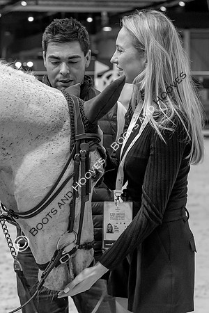 Showjumping