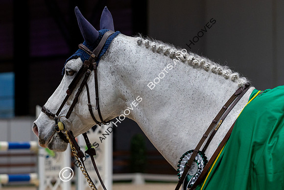 Showjumping