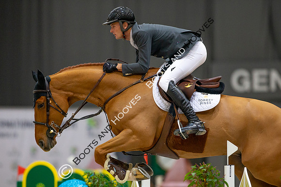 Showjumping