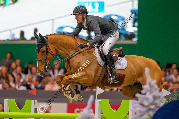 Showjumping