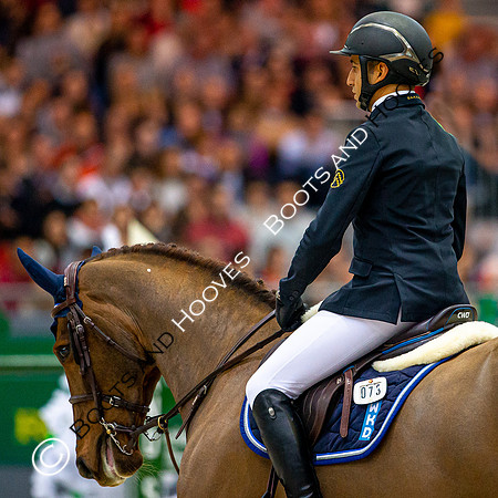Showjumping