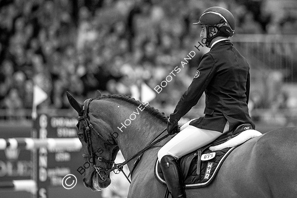Showjumping
