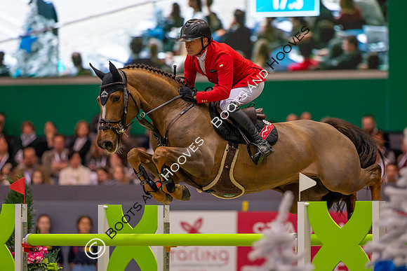 Showjumping
