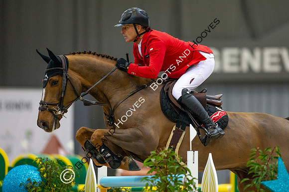 Showjumping