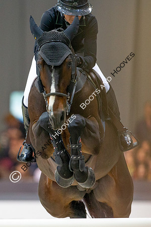 Showjumping
