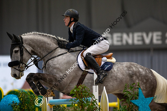 Showjumping