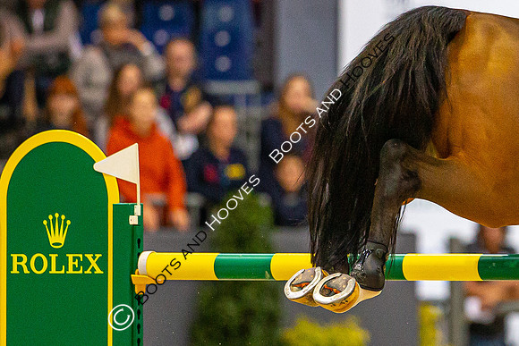 Showjumping