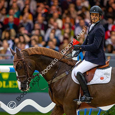Showjumping