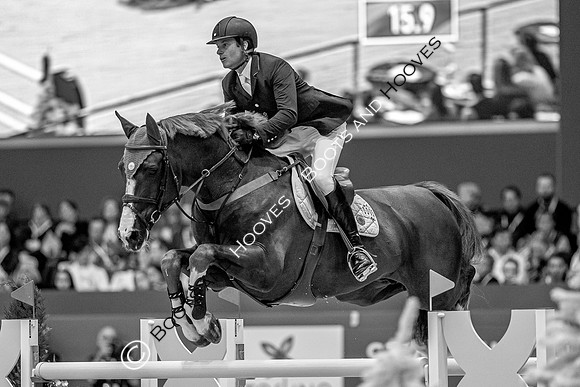 Showjumping