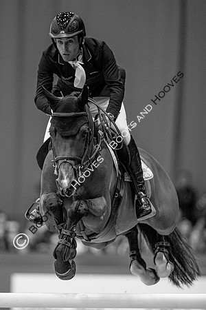 Showjumping