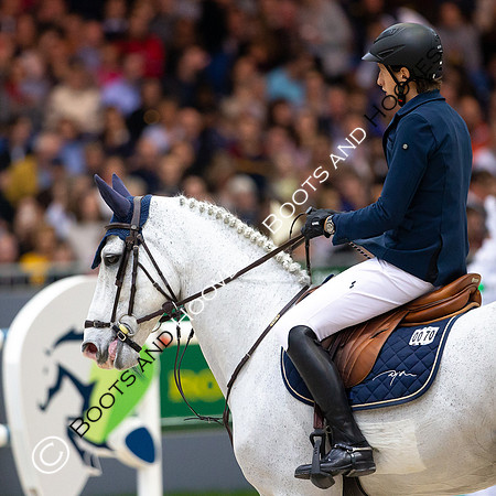 Showjumping