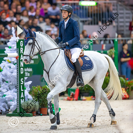 Showjumping