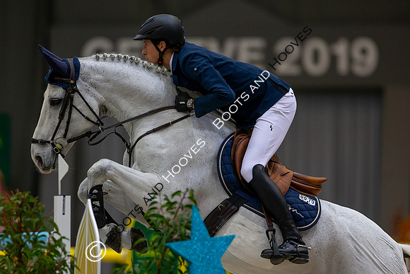 Showjumping