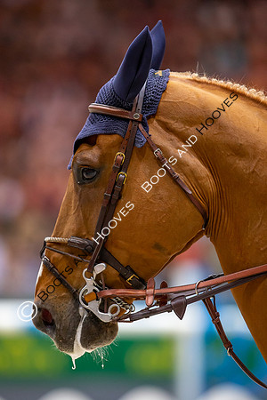 Showjumping