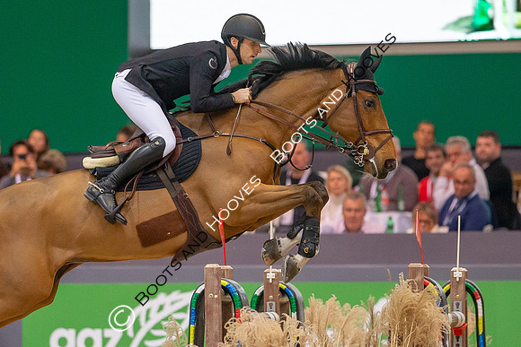 Showjumping