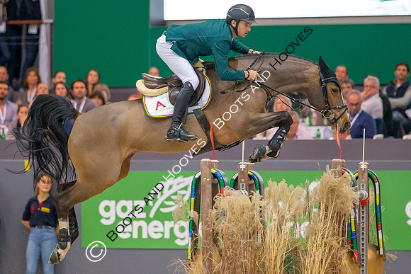 Showjumping