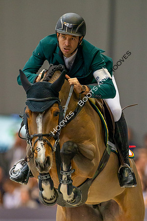 Showjumping