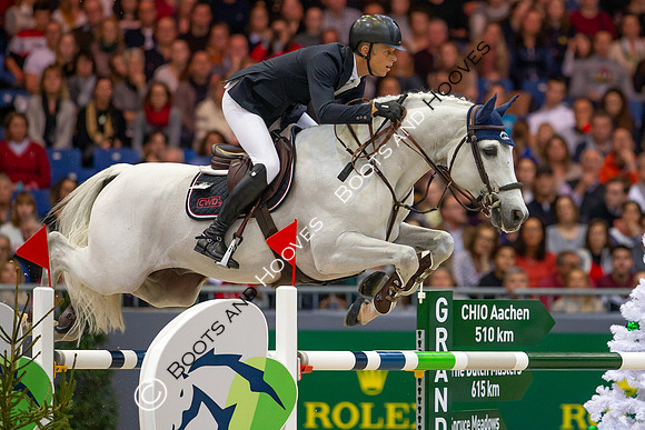 Showjumping