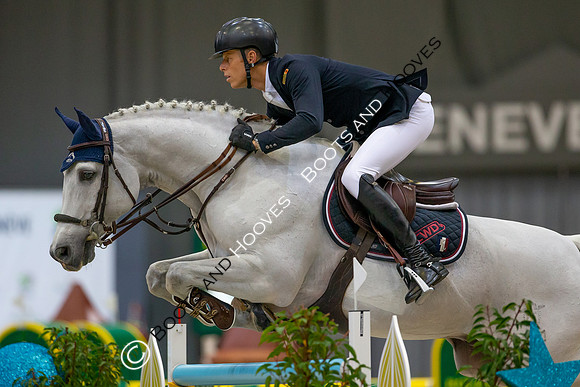Showjumping