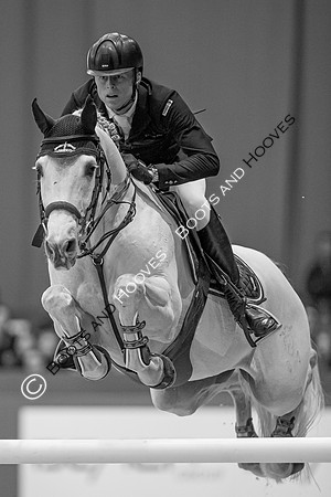 Showjumping