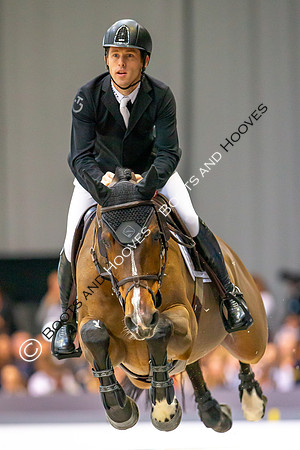 Showjumping