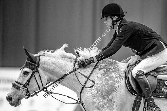 Showjumping