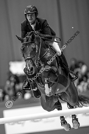 Showjumping