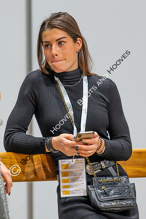 Showjumping