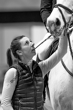 Showjumping