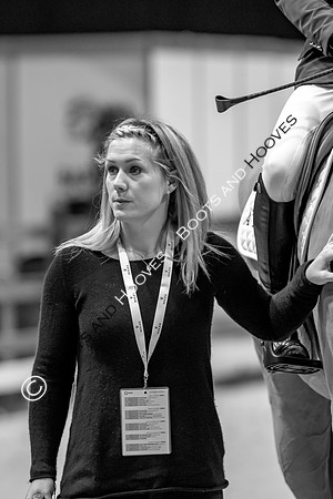 Showjumping