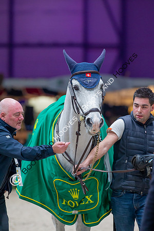 Showjumping