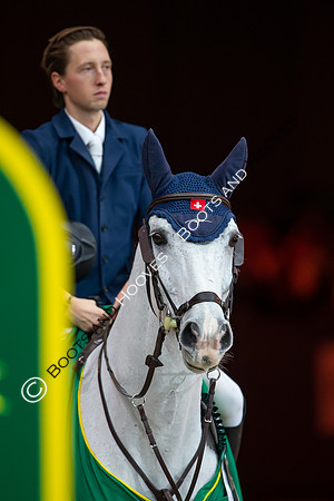 Showjumping