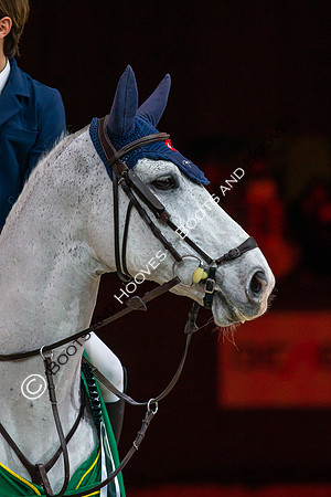 Showjumping