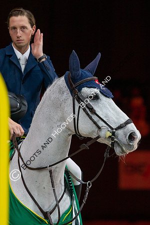 Showjumping