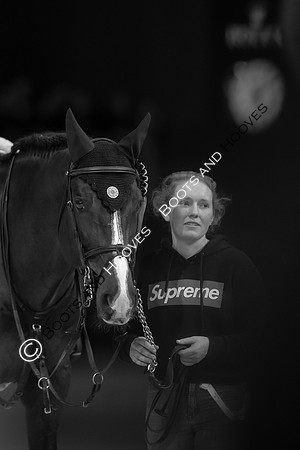 Showjumping