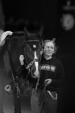 Showjumping