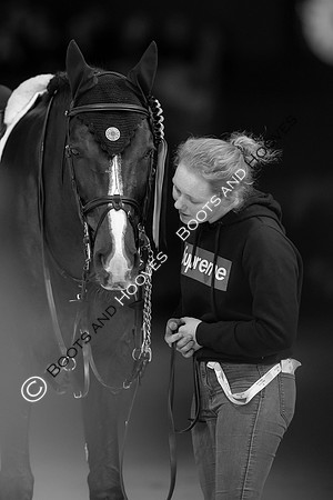 Showjumping