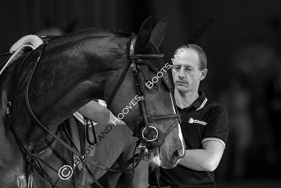 Showjumping