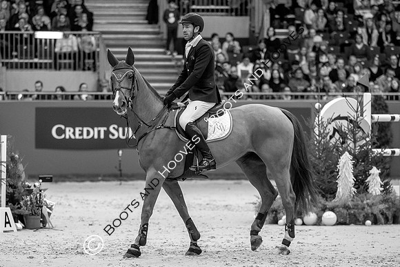 Showjumping
