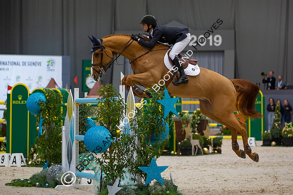 Showjumping