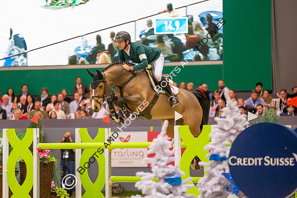 Showjumping