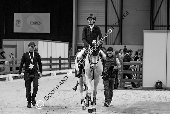 Showjumping