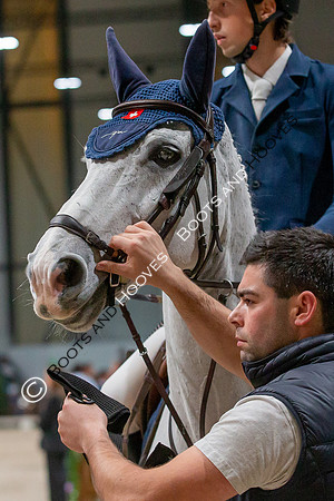Showjumping