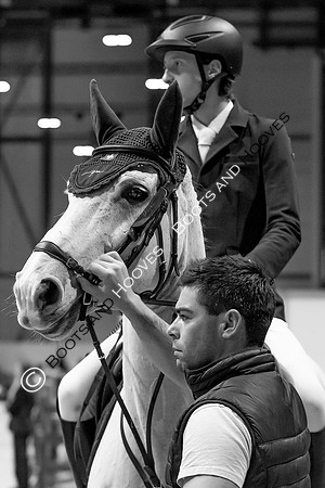 Showjumping