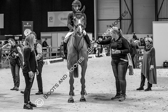 Showjumping