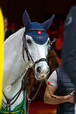 Showjumping