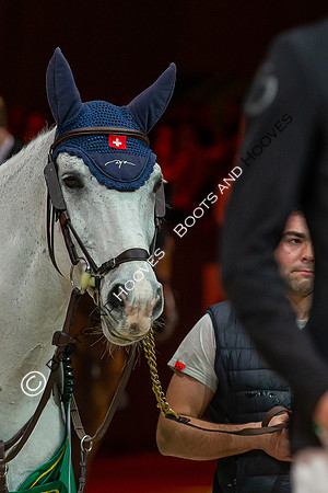 Showjumping