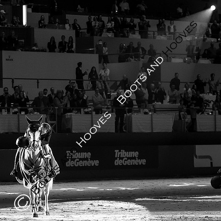 Showjumping